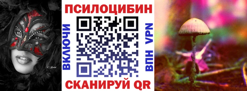 кракен хочу Талица Галлюциногенные грибы Psilocybine cubensis
